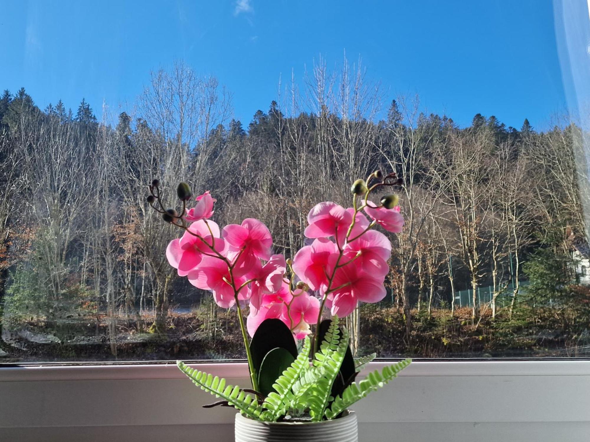 Holiday Apartment Near Triberg Waterfall 트리베르크 외부 사진